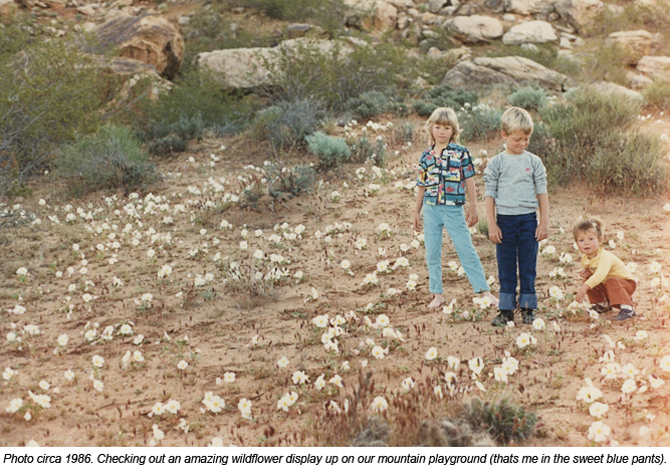 My childhood mountain playground